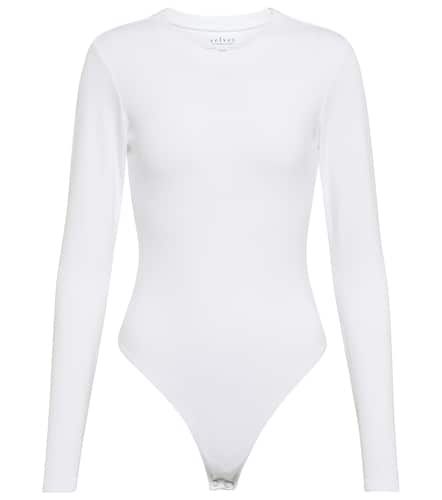 Velvet Body Carly aus Jersey - Velvet - Modalova