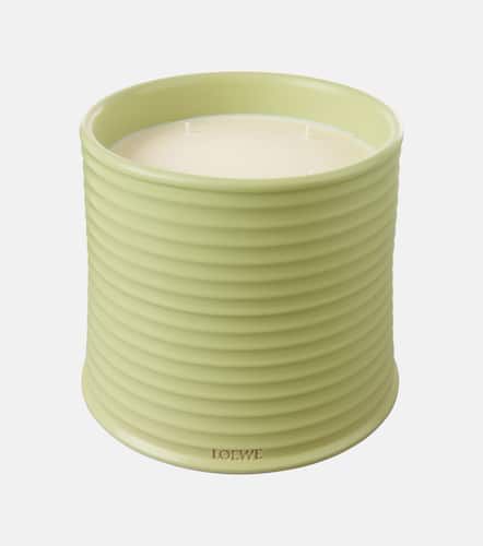 Candela profumata Cucumber grande - Loewe Home Scents - Modalova