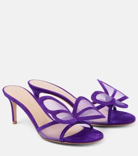 Mules Butterfly 70 in mesh e suede - Gianvito Rossi - Modalova