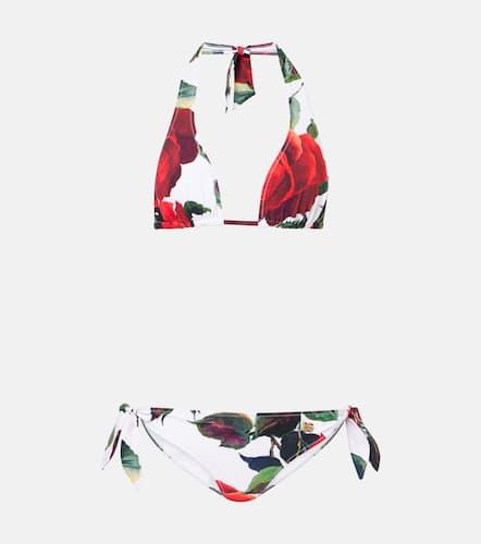 Dolce&Gabbana Bikini à pois - Dolce&Gabbana - Modalova