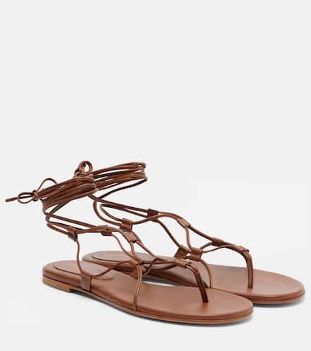 Gianvito Rossi Sandalen aus Leder - Gianvito Rossi - Modalova