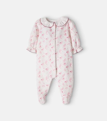 Bebé - body en mezcla de algodón estampado - Patachou - Modalova