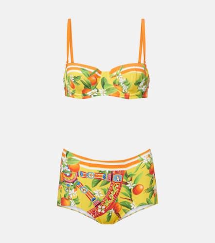 Dolce&Gabbana Bikini imprimé - Dolce&Gabbana - Modalova