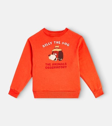 Sudadera Bear de jersey de algodón - The Animals Observatory - Modalova
