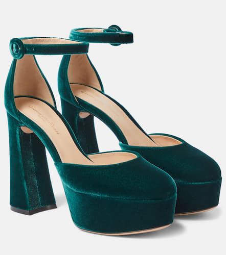 Plateau-Pumps Holly aus Samt - Gianvito Rossi - Modalova