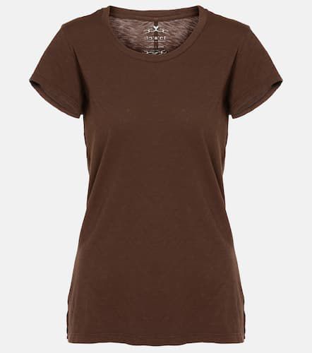 Velvet Odelia cotton jersey T-shirt - Velvet - Modalova