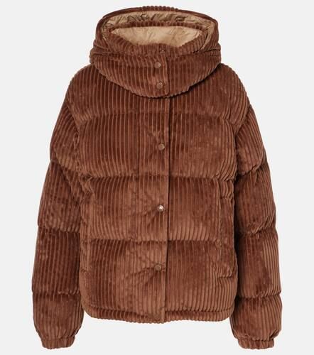 Moncler Daos corduroy down jacket - Moncler - Modalova