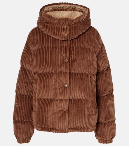 Moncler Daunenjacke Daos aus Cord - Moncler - Modalova