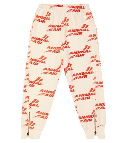 Panther printed cotton sweatpants - The Animals Observatory - Modalova