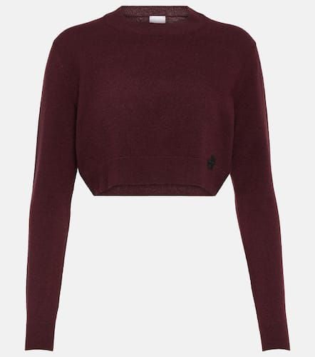 Patou Cropped cashmere wool sweater - Patou - Modalova