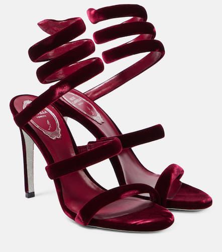 Cleo 105 velvet sandals - Rene Caovilla - Modalova