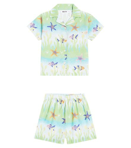 Baby - Camicia Eyou e shorts Solar in cotone con stampa - Molo - Modalova