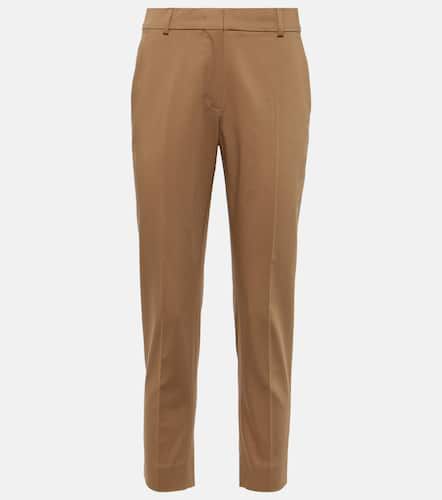 Gerade Cropped-Hose Lince aus Baumwolle - Max Mara - Modalova