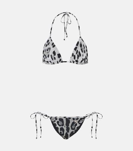 Dolce&Gabbana Bedruckter Bikini - Dolce&Gabbana - Modalova