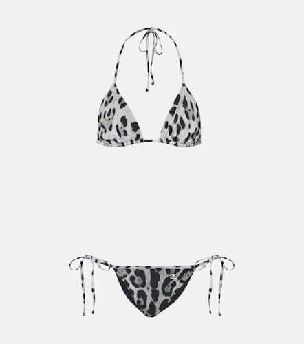 Dolce&Gabbana Leopard-print bikini - Dolce&Gabbana - Modalova