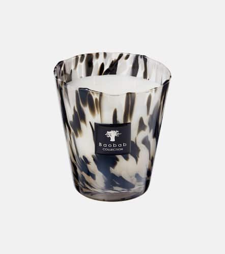 Vela aromática Pearls Black mediana - Baobab Collection - Modalova