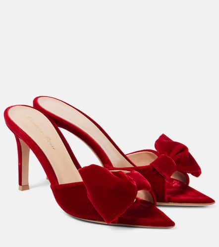 Bow-detail velvet mules - Gianvito Rossi - Modalova