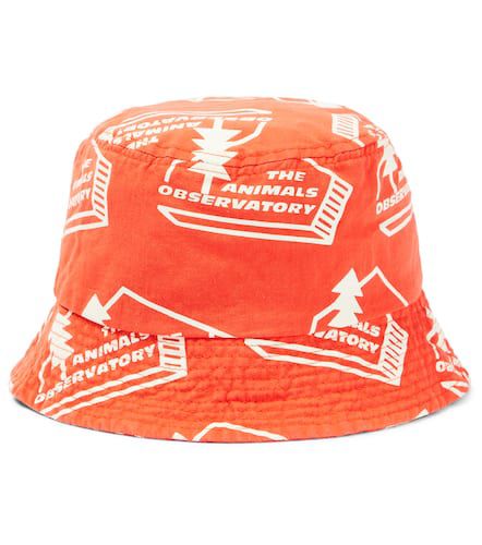 Sombrero de pescador Starfish de algodón - The Animals Observatory - Modalova