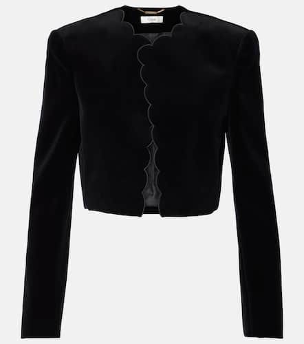 ChloÃ© Spencer scalloped cotton velvet jacket - Chloe - Modalova