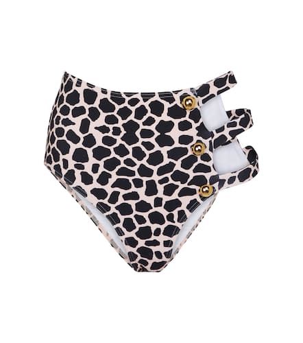 Della giraffe-print bikini bottoms - Alexandra Miro - Modalova