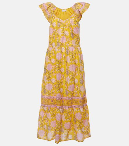 Jazlyn floral cotton maxi dress - Velvet - Modalova