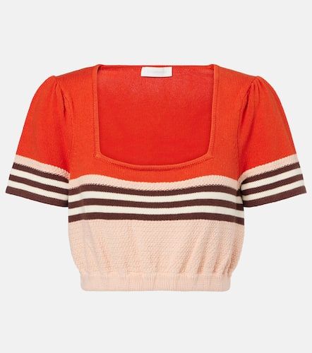 Top Ascension in maglia di misto cotone - Zimmermann - Modalova