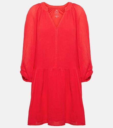 Velvet Robe Sloan en coton - Velvet - Modalova