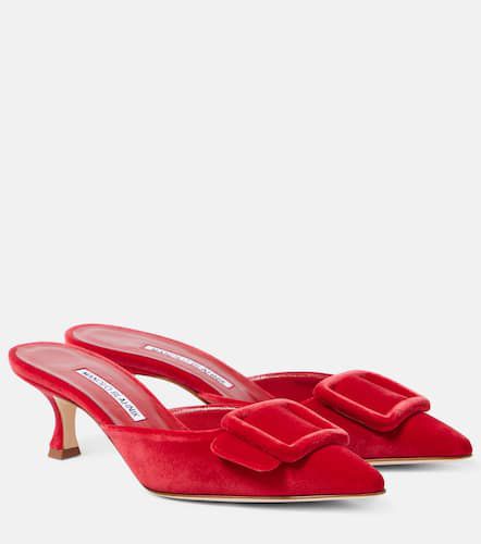 Mules Maysale 50 aus Samt - Manolo Blahnik - Modalova