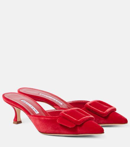 Mules Maysale 50 de terciopelo - Manolo Blahnik - Modalova