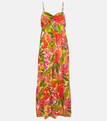 Velvet Top Kayla imprimé en coton - Velvet - Modalova