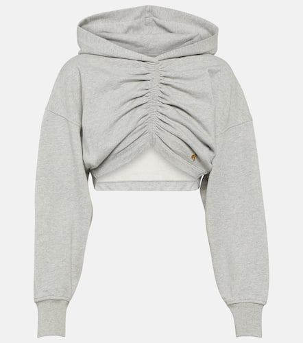 Cropped cotton jersey hoodie - Palm Angels - Modalova