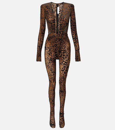 Alex Perry Leopard-print catsuit - Alex Perry - Modalova