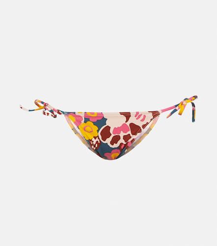 Eres Kaki printed bikini bottoms - Eres - Modalova