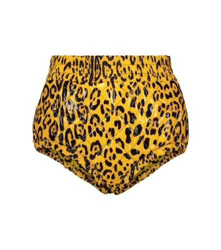 Bedruckte Shorts aus Lederimitat - Dolce&Gabbana - Modalova