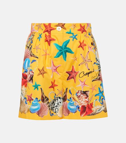 Shorts Capri de algodón de tiro alto - Dolce&Gabbana - Modalova