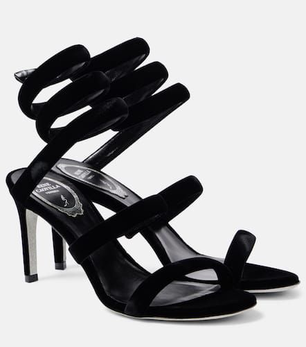 Cleo 80 velvet sandals - Rene Caovilla - Modalova