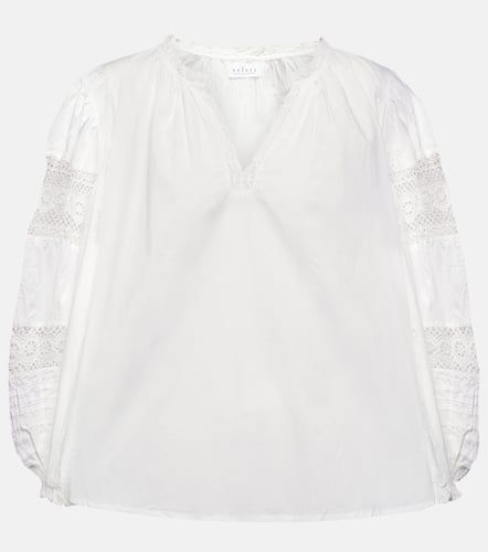 Taylor embroidered cotton blouse - Velvet - Modalova
