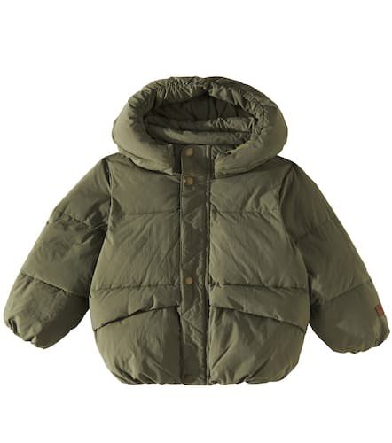 Molo Wattierte Jacke Hayden - Molo - Modalova