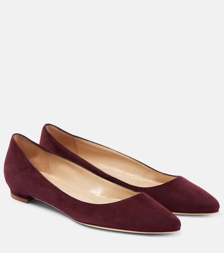 Ballerine BB in suede - Manolo Blahnik - Modalova