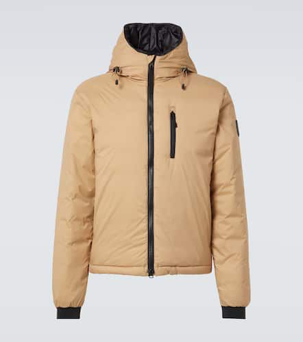 Black Label Lodge down jacket - Canada Goose - Modalova