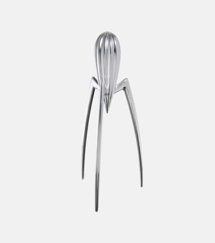 Zitruspresse Juicy Salif by Philippe Starck - Alessi - Modalova