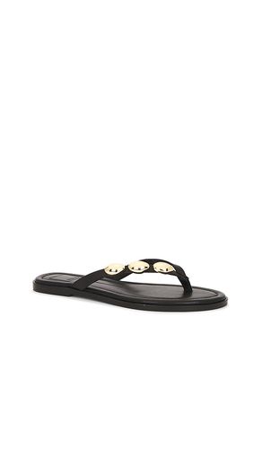 Juny Sandal in . Size 6. Also in 6.5, 7, 7.5, 8.5, 9 - Dolce Vita - Modalova