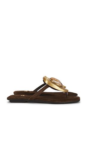 Bazaar Flat Sandal in . Size 7.5. Also in 8, 9.5 - Jeffrey Campbell - Modalova