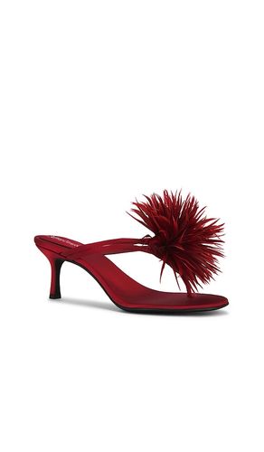 Firework Sandal in . Taglia 6. Also in 7, 8 - Jeffrey Campbell - Modalova