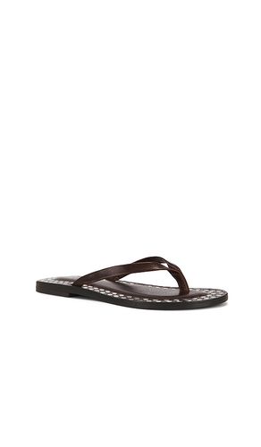 Katrina Strap Sandal in . Size 7. Also in 8 - Jeffrey Campbell - Modalova