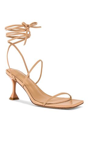Roo Heel in . Size 5.5. Also in 6, 6.5, 7.5, 8, 8.5, 9, 10 - RAYE - Modalova