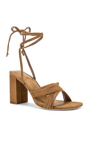 Gian Heel in . Size 5.5. Also in 6, 7, 7.5, 8, 8.5, 9, 9.5, 10 - RAYE - Modalova