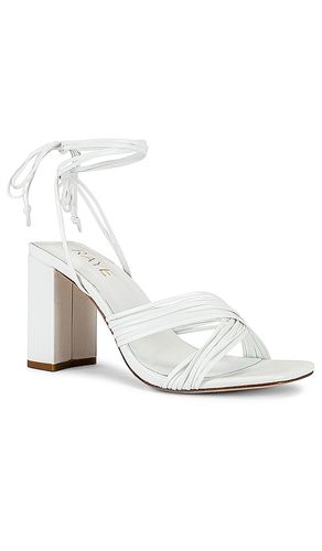 Gian Heel in . Size 5.5. Also in 6, 6.5, 7, 7.5, 8, 8.5, 9, 9.5 - RAYE - Modalova
