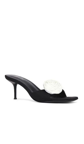 Rosette Mule in . Size 6. Also in 7, 7.5, 8, 9 - RAYE - Modalova