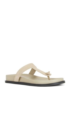 Channi Slide in . Size 8. Also in 9 - RAYE - Modalova